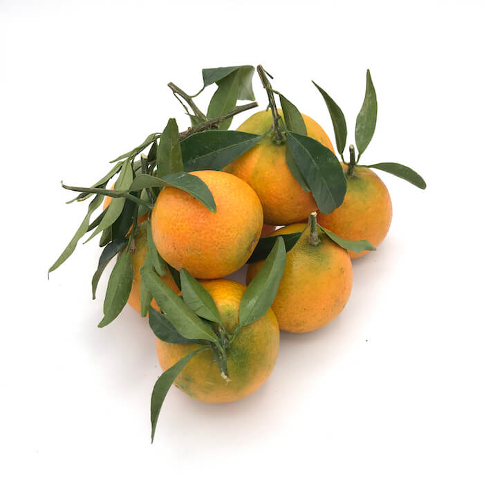 Clementina Hoja — Comprar online en Fruterías Ruiz & González