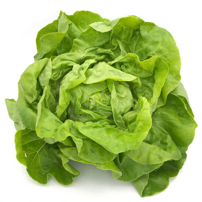 Lechuga Trocadero