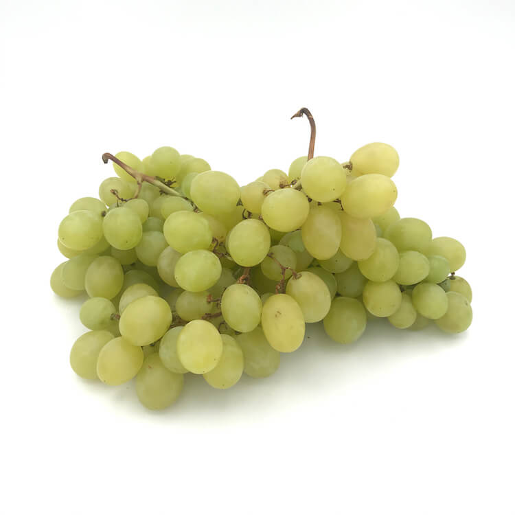 Uva Blanca Doña Maria