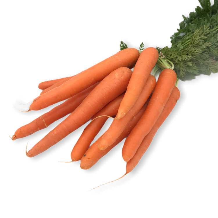 Zanahoria Manojo — Comprar online