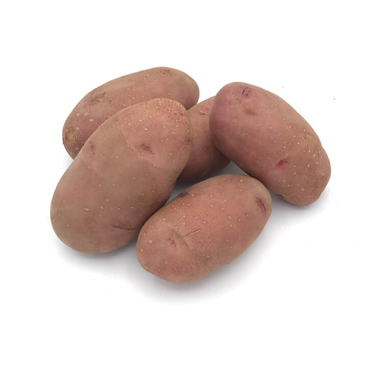 Patata Roja — Comprar online