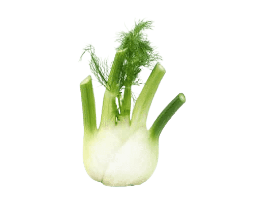 Hinojo — Comprar online