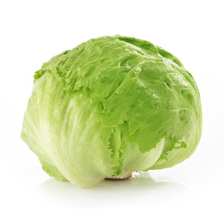 Lechuga Iceberg — Comprar online