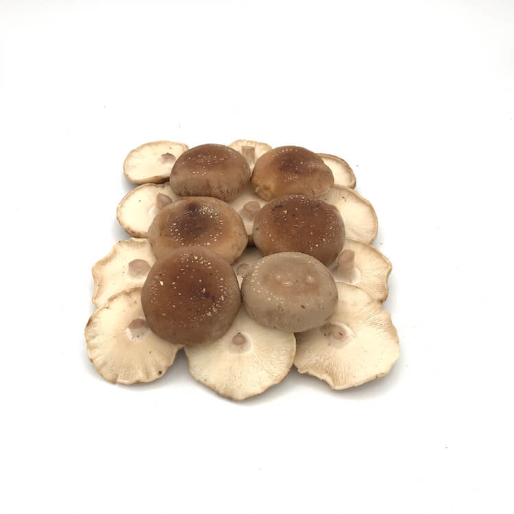 Seta Shiitake  — Comprar online