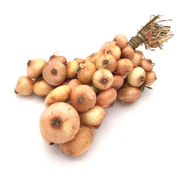 Cebolla Francesa — Comprar online