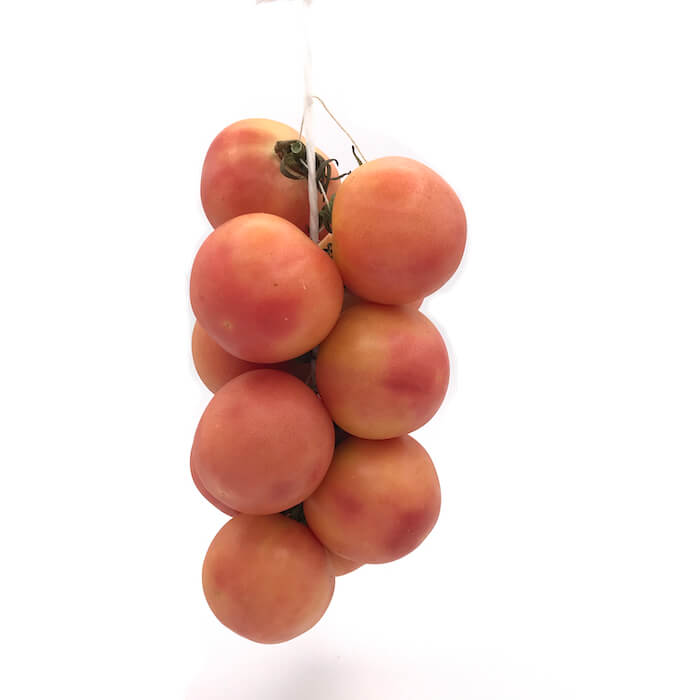 Tomate Roseta — Comprar online