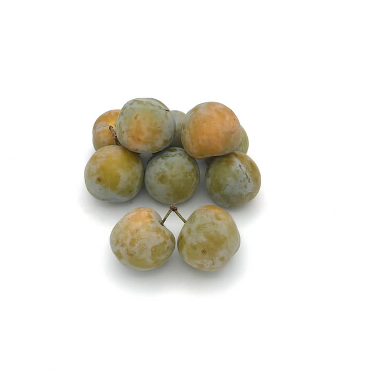 Ciruela Claudia Reina