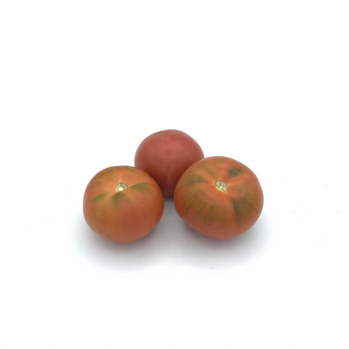 Tomate Rambo — Comprar online