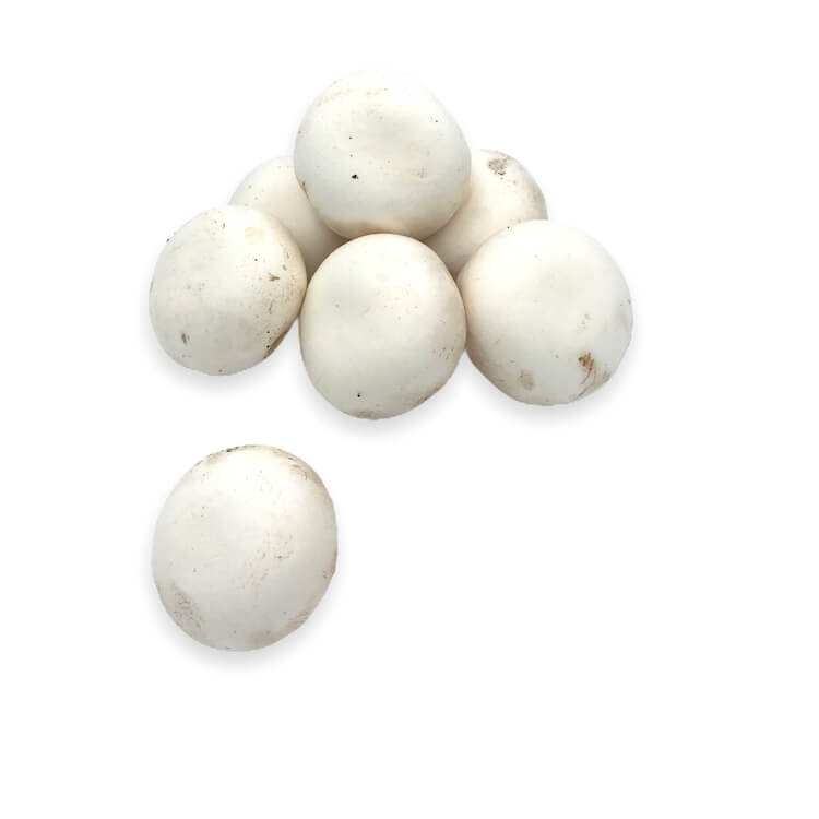 Champiñon Entero — Comprar online