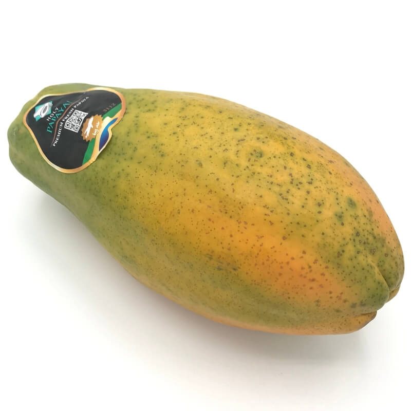 Papayón — Comprar online