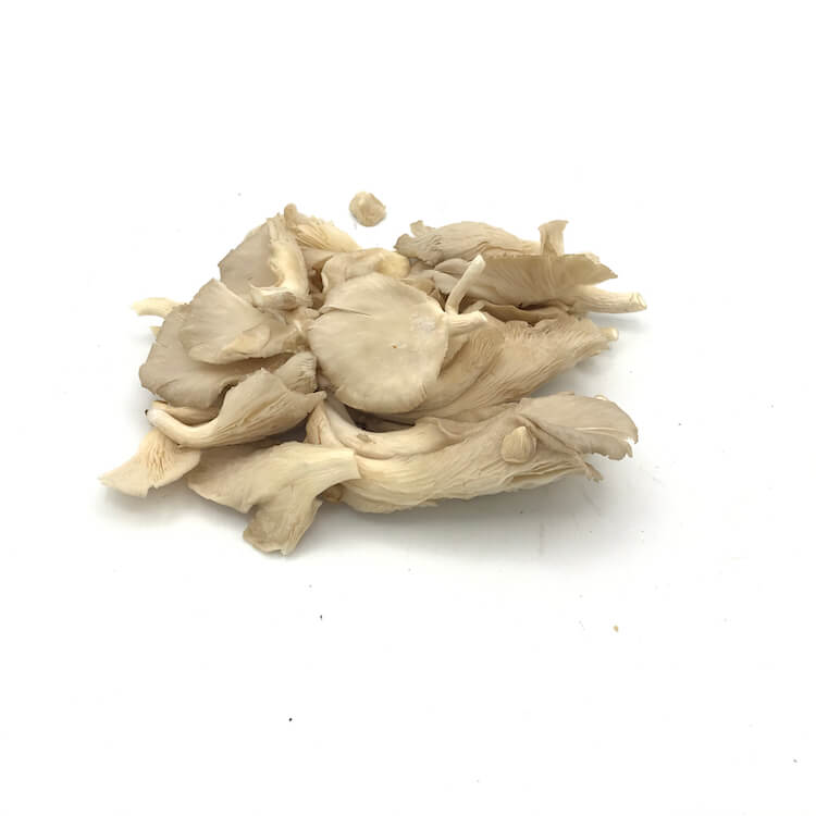 Seta Cultivada — Comprar online