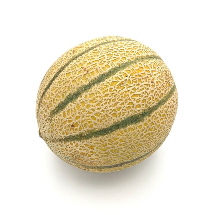 Melón Cantalup — Comprar online