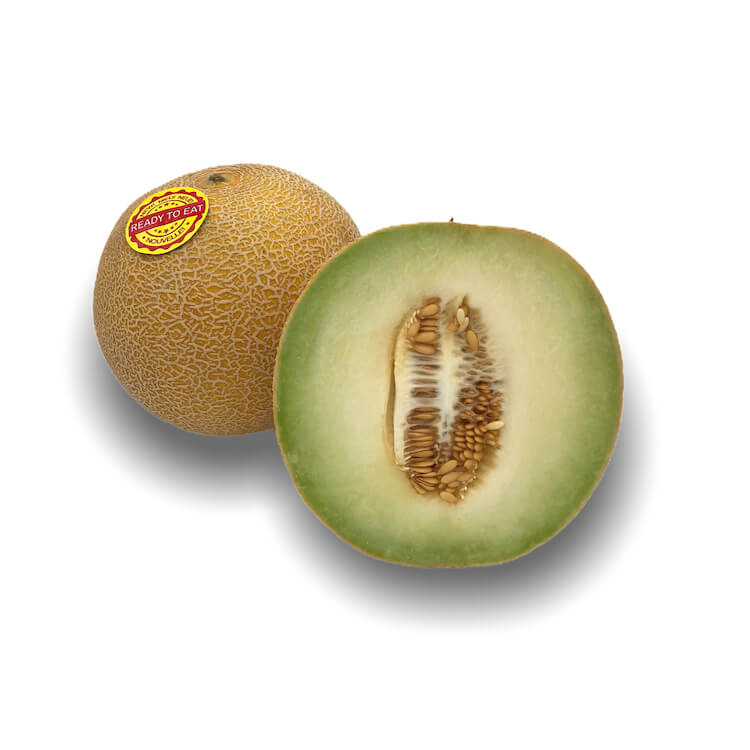 Melón Galia