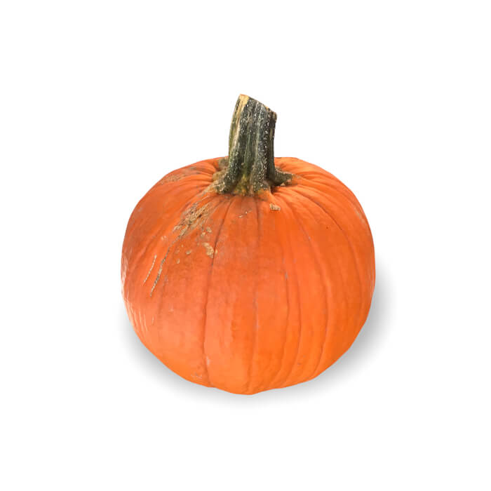 Calabaza Halloween Oferta Web