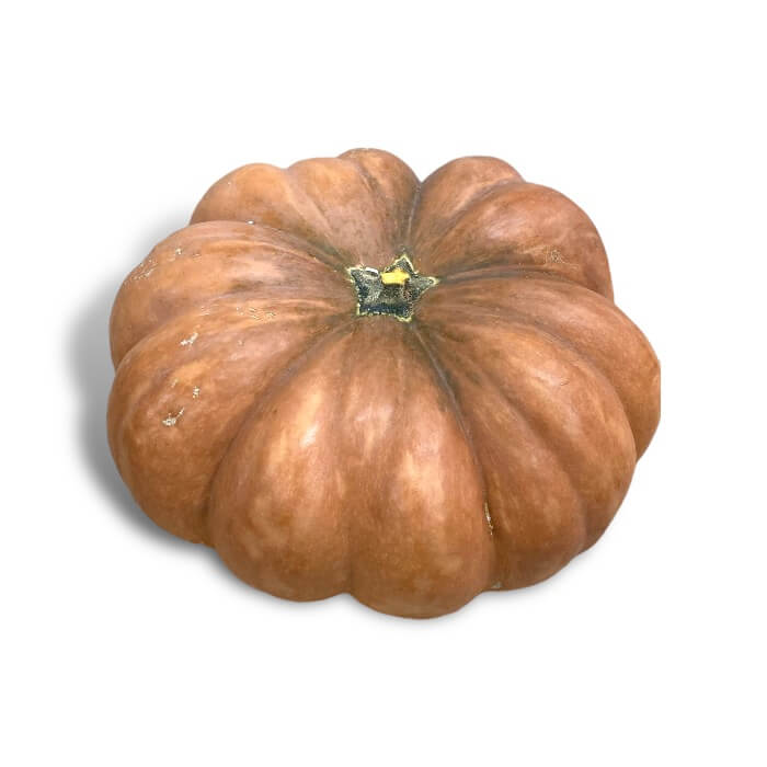 Calabaza Halloween Modelo 1