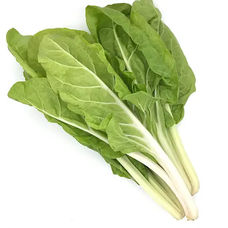 Acelgas Frescas — Comprar online en Fruterías Ruiz & González