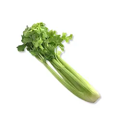 Apio Verde — Comprar online