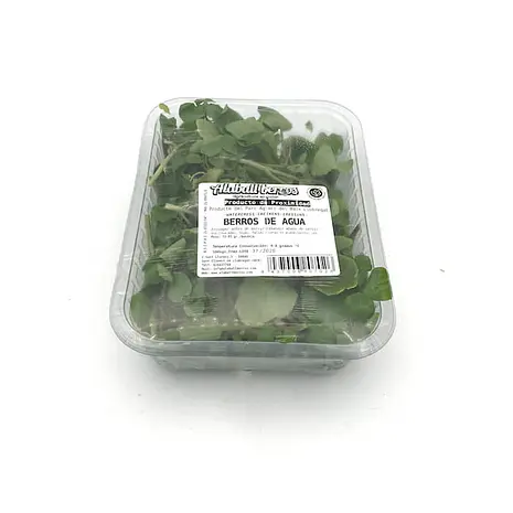 Berros de Agua — Comprar online en Fruterías Ruiz & González