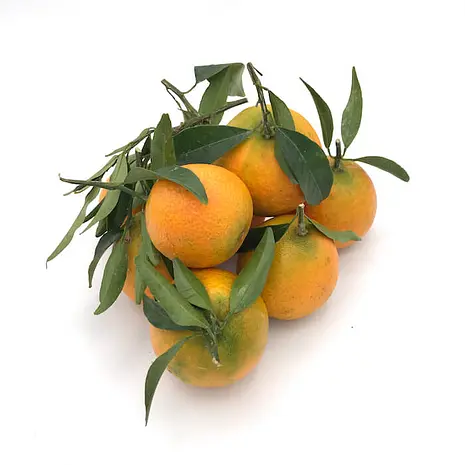 Clementina Hoja — Comprar online en Fruterías Ruiz & González