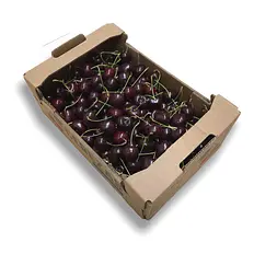 Cerezas Extra — Comprar online