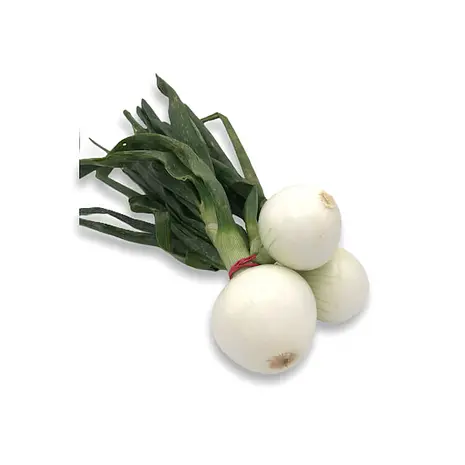 Cebolleta — Comprar online en Fruterías Ruiz & González
