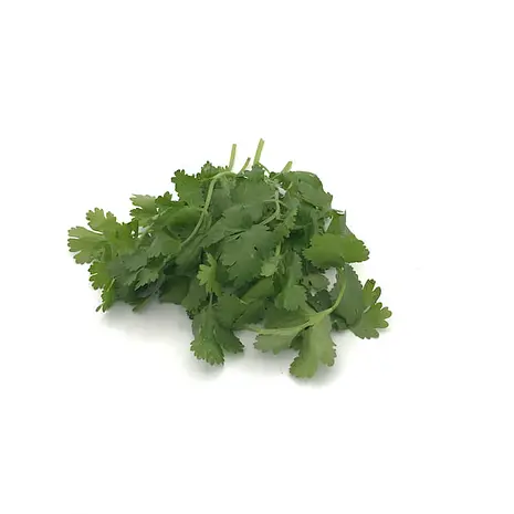 Cilantro — Comprar online en Fruterías Ruiz & González
