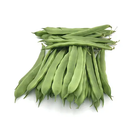 Judías Perona — Comprar online en Fruterías Ruiz & González