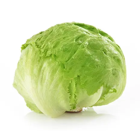 Lechuga Iceberg — Comprar online en Fruterías Ruiz & González