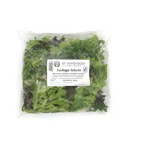 Lechuga Selecta Eco — Comprar online en Fruterías Ruiz & González