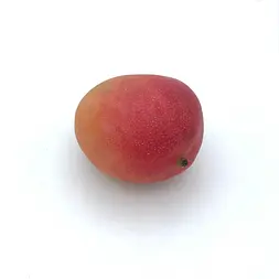 Mango Avión — Comprar online