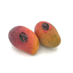 Mango Nacional Osten — Comprar online