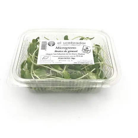 Brotes de Girasol — Comprar online en Fruterías Ruiz & González