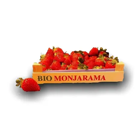 Fresas Eco Recien Recolectada — Comprar online en Fruterías Ruiz & González