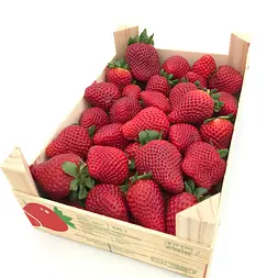 Fresón Caja 2Kg — Comprar online