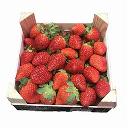 Fresón Granel — Comprar online