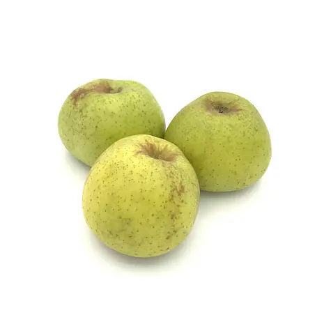 Manzana Reineta — Comprar online en Fruterías Ruiz & González