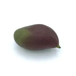 Mango Palmer — Comprar online