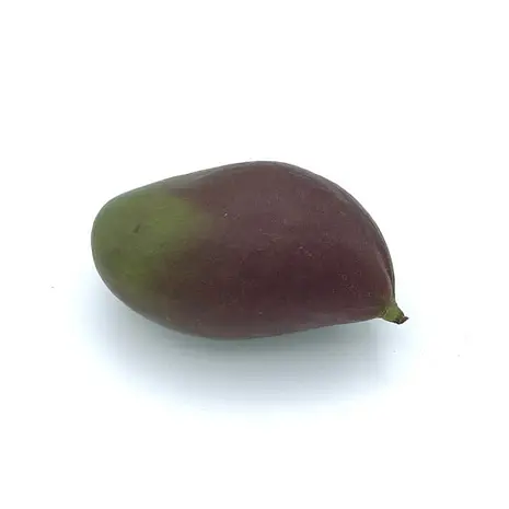 Mango Palmer — Comprar online en Fruterías Ruiz & González