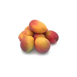 Mango Mini — Comprar online