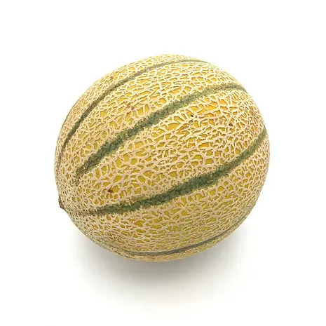 Melón Cantalup — Comprar online en Fruterías Ruiz & González