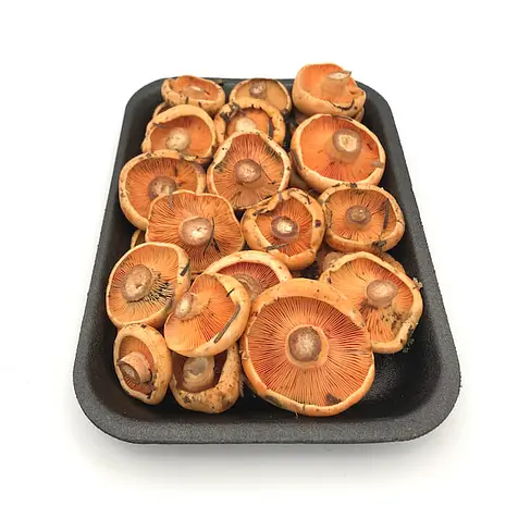 Níscalos — Comprar online en Fruterías Ruiz & González