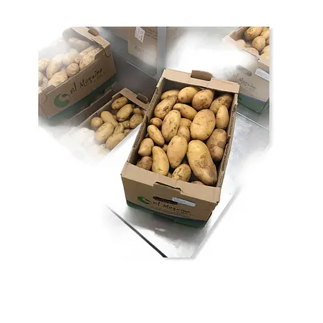 Patata Chipiona Voyager — Comprar online en Fruterías Ruiz & González