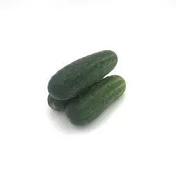 Pepino — Comprar online