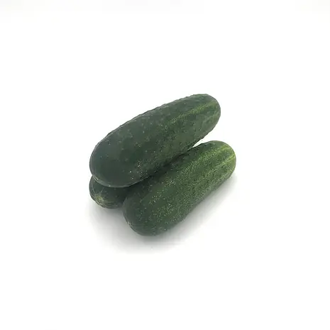 Pepino — Comprar online en Fruterías Ruiz & González