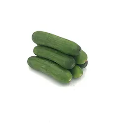 Pepino Mini — Comprar online