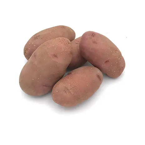 Patata Roja — Comprar online en Fruterías Ruiz & González