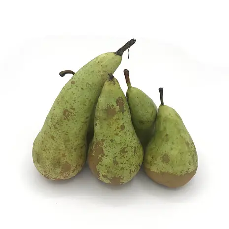 Pera conferencia — Comprar online en Fruterías Ruiz & González