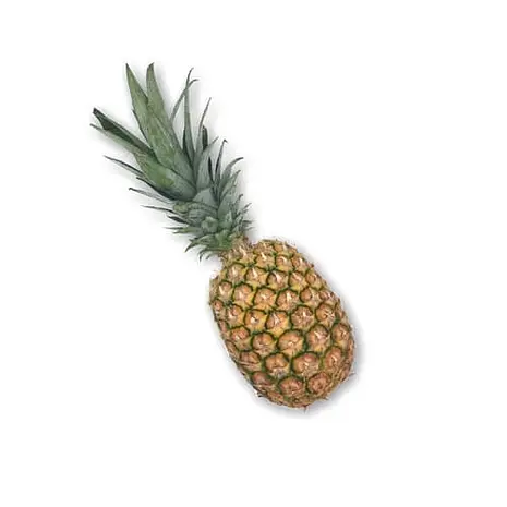 Piña Gold — Comprar online en Fruterías Ruiz & González