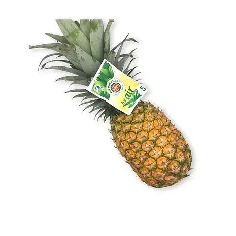 Piña de Avión — Comprar online en Fruterías Ruiz & González