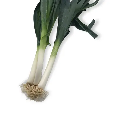 Puerro — Comprar online en Fruterías Ruiz & González